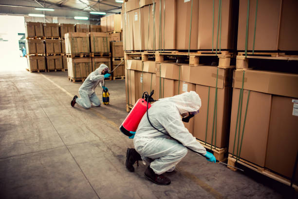 Best Pest Control for Restaurants  in Golden Shores, AZ