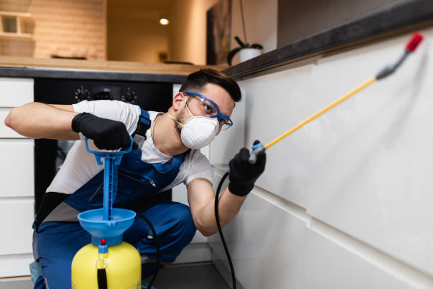 Best Best Pest Control Companies  in Golden Shores, AZ