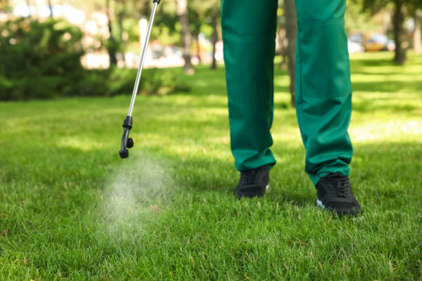 Best Residential Pest Control  in Golden Shores, AZ