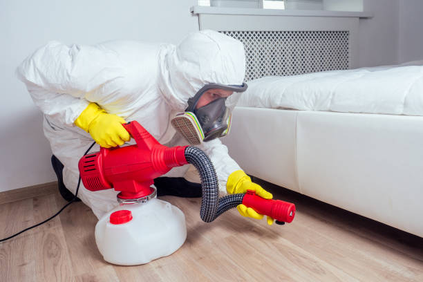 Flea Control Services in Golden Shores, AZ
