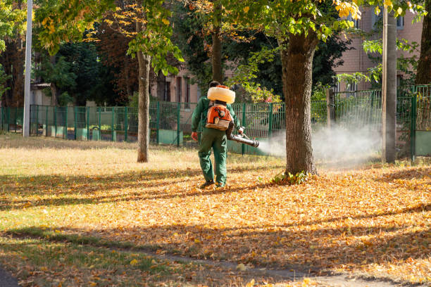 Best Exterminator Services  in Golden Shores, AZ