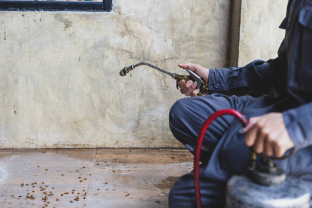 Best Pest Inspection Near Me  in Golden Shores, AZ